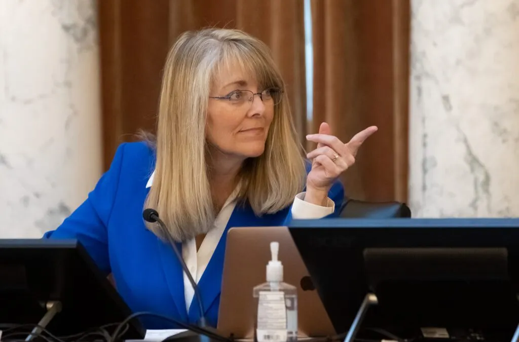 Rep. Wendy Horman embraces new role as co-chair of the Idaho Legislature’s budget committee